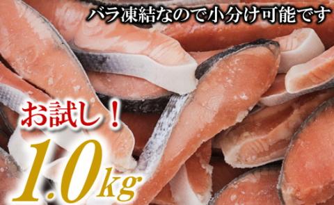 ZH149.バラ凍結で便利！銀鮭切身（約1.0kg）