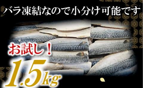 ZH148.バラ凍結で便利！塩さば（約1.5kg）