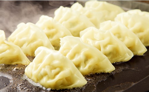 ZI244.博多カレー餃子ミックスセット（博多餃子24個＆カレー餃子16個）