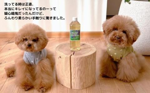 CD014.NATURALSPEEDYSHAMPOO/スピトリシャンプー500ml