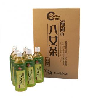 JC005.福岡八女茶のペットボトル.緑茶（５００ml×２４本）×12ヵ月