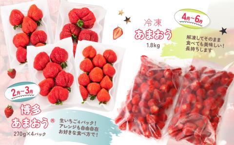 DH005.【あまおうが大好きなアナタへ】あまおう定期便（全4回）