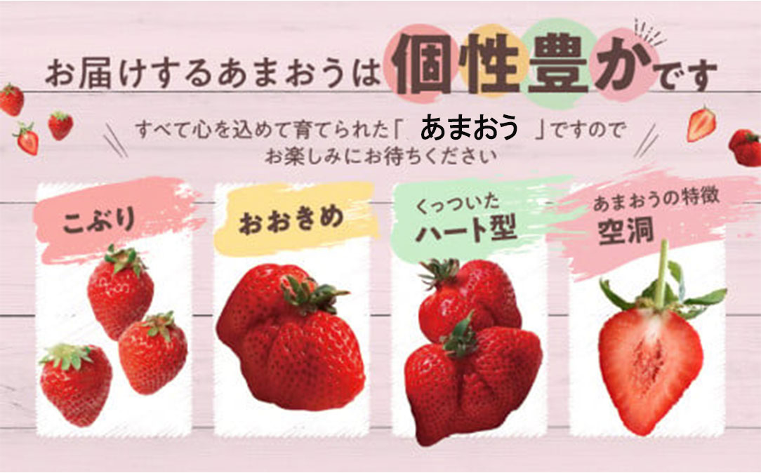 A1381.人気ナンバー1獲得★限定品★あまおう約540g（２０２６年１月以降発送）