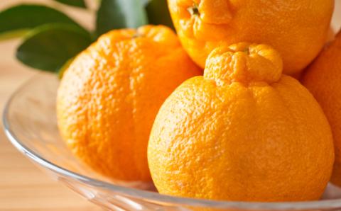 AA196.いわくま果樹園自慢の不知火／約4kg(2026年2～3月発送予定)