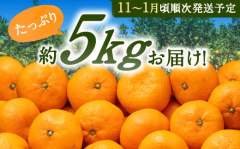 AA074.温州みかん（5kg程度）／2025年11月～2026年1月配送