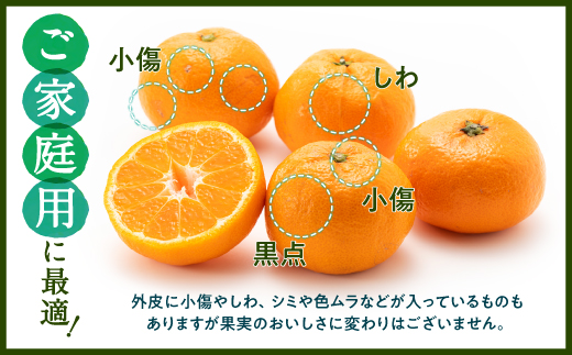 AA074.温州みかん（5kg程度）／2026年11月～2027年1月配送