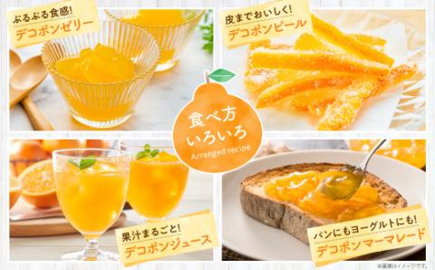 AA075.【昨年も大人気】デコポン（約３ｋｇ程度）☆２０２６年配送分予約受付中☆