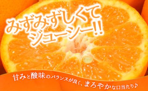 AA076.ぽんかん（5kg程度）／2025年12月～2026年1月配送予定