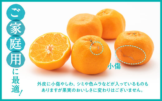 AA076.ぽんかん（5kg程度）／2026年12月～2027年1月配送予定