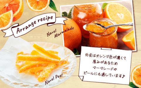 AA077.ネーブル（3kg程度）／2025年12月～2026年1月配送