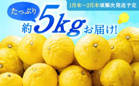 AA090.福岡柑橘王国・はるか／約5kg(2026年1月末～2月末発送予定)