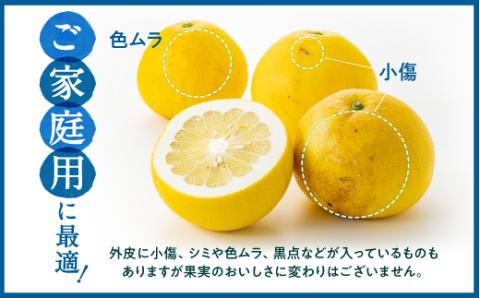 AA092.【予約受付・期間限定商品】　福岡柑橘王国・文旦（2026年2月～3月配送予定）