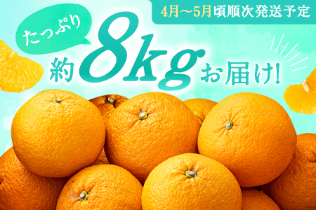 AA093.【予約受付・期間限定商品】福岡柑橘王国・樹成り完熟甘夏（2026年4月～5月配送予定）
