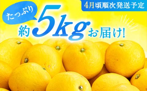 AA115.福岡柑橘王国．ニューサマーオレンジ約5kg／2026年4月配送