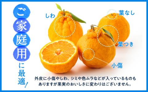 AA132.農家直送の不知火／約3kg（2026年2月発送予定)