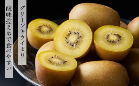AC197.九州・福岡フルーツ王国より直送.人気の新ブランドキウイフルーツ（甘うぃ）約3kg／2026年11月配送【甘うぃ】
