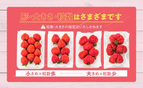 人気１位獲得謝礼品★限定品★あまおう約１，０８０g（先行受付／２０２６年３月以降発送）.A1609【あまおう】