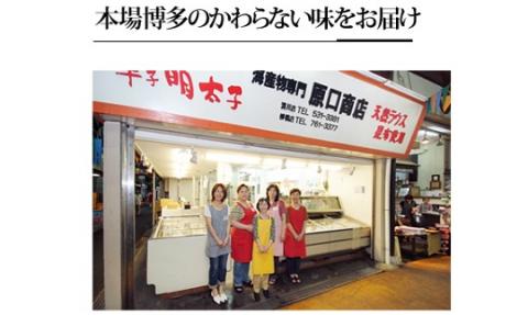 450g 日用品雑貨・文房具・手芸 ふるさと納税訳あり博多 辛子 ふるさと