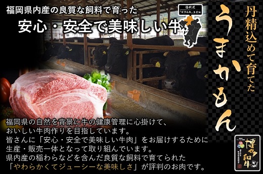 AG114.博多和牛ロースサイコロステーキ用400g【博多和牛】