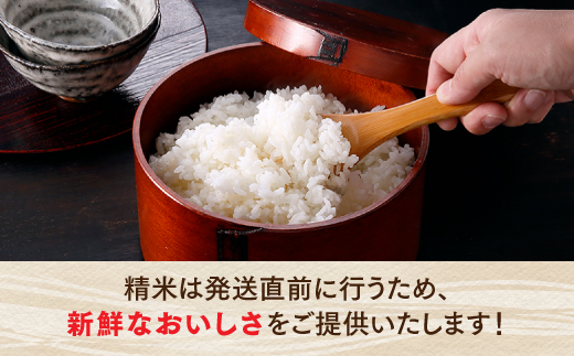 ZI294.立花山で育てた九州のブランド米・2.25キロ【一升五合（いっしょうはんじょう）】