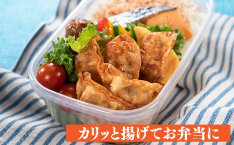 Z263.福岡・博多の味『博多一口餃子』４０個入（４０個入×１Ｐ）