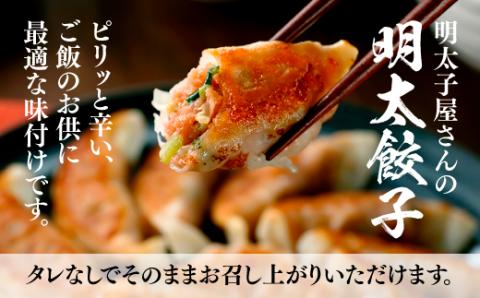 ZI124.無着色辛子明太子切子300ｇ＆明太餃子（14個入り）【辛子明太子】	