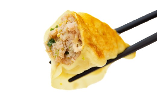 ZI244.博多カレー餃子ミックスセット（博多餃子24個＆カレー餃子16個）