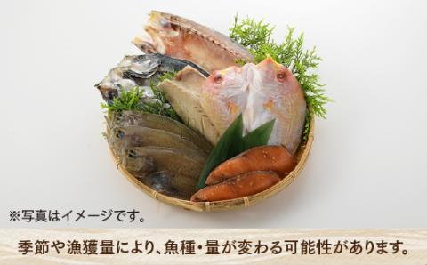 AC064.進藤商店一夜干しセット