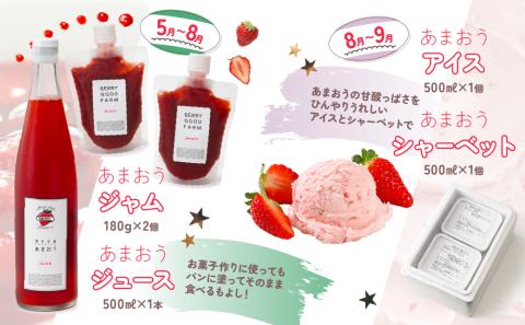 DH005.【あまおうが大好きなアナタへ】あまおう定期便（全4回）