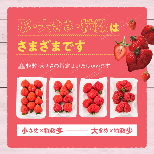 人気１位獲得謝礼品★限定品★あまおう約５４０g（先行受付／２０２７年２月以降発送）.ZH205【あまおう】