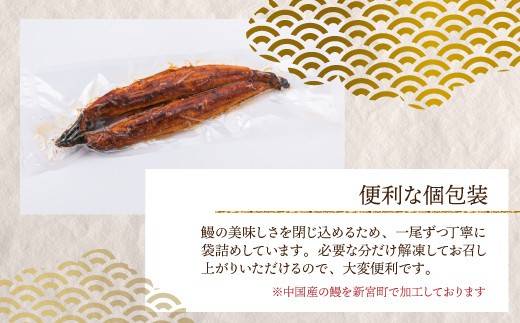 A1470.ジャンボうなぎの蒲焼２尾（計１，０００ｇ前後）『１～２ヶ月前後でお届け！！』