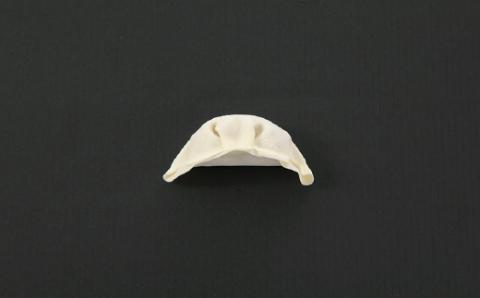 A1514.【創業40年の老舗が誇る味わい】博多餃子８０個