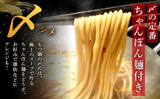 A1593.魚住商店特製塩もつ鍋セット2～3人前・〆のチャンポン麺付き【満足もつ増量500g】