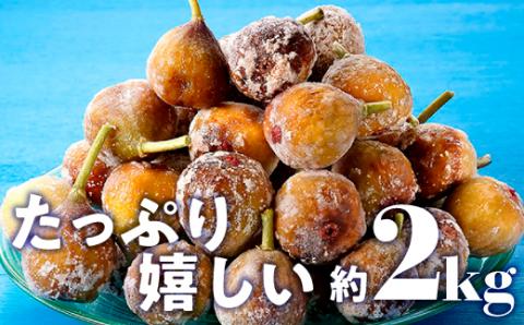 A1559.冷凍いちじく約2キロ【とよみつひめ】