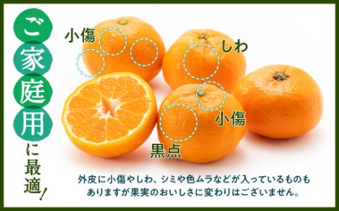 AA074.温州みかん（5kg程度）／2025年11月～2026年1月配送