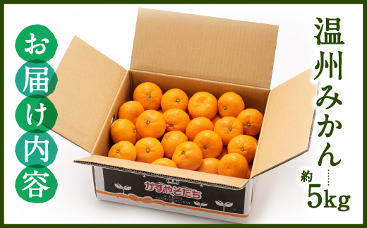 AA074.温州みかん（5kg程度）／2026年11月～2027年1月配送