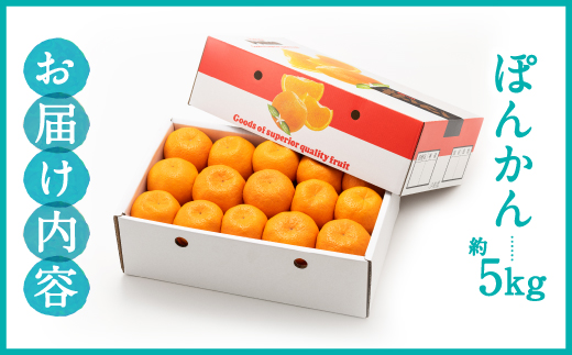 AA076.ぽんかん（5kg程度）／2026年12月～2027年1月配送予定