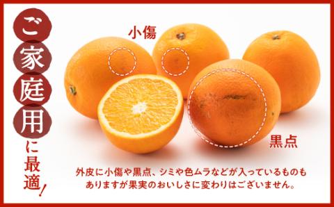 AA077.ネーブル（3kg程度）／2025年12月～2026年1月配送