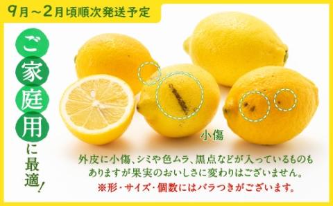 AA079.貴重な国産レモン.約5kg.新宮町産の逸品です／2025年9月～2026年2月発送予定