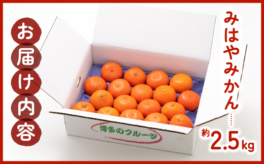 AA088.【希少品種】みはやみかん／約2.5キロ(2026年12月上旬～2027年1月末発送予定)