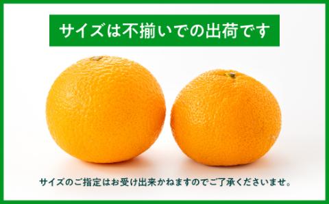 AA091.【予約受付・期間限定商品】福岡柑橘王国・スイートスプリング／約8kg(2026年1月～2月配送予定）
