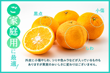 AA093.【予約受付・期間限定商品】福岡柑橘王国・樹成り完熟甘夏（2026年4月～5月配送予定）