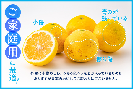 AA098.いわくま果樹園の「日向夏」約4kg／2026年4月発送予定