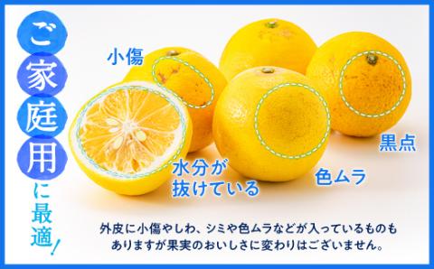 AA115.福岡柑橘王国．ニューサマーオレンジ約5kg／2026年4月配送