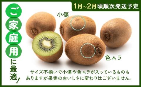 【予約受付】AB128.キウイフルーツ(グリーン)3kg程度／2026年1月～2月配送予定