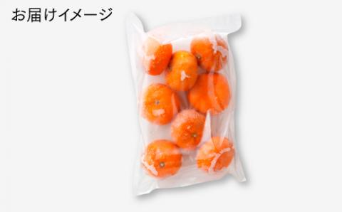 A1560.冷凍みかん約2キロ【限定１００セット】