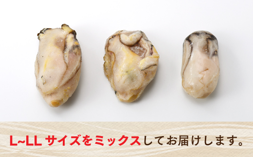 AB375.旬を急速凍結した濃厚な牡蠣（１．５ｋｇ）.バラ凍結.国産