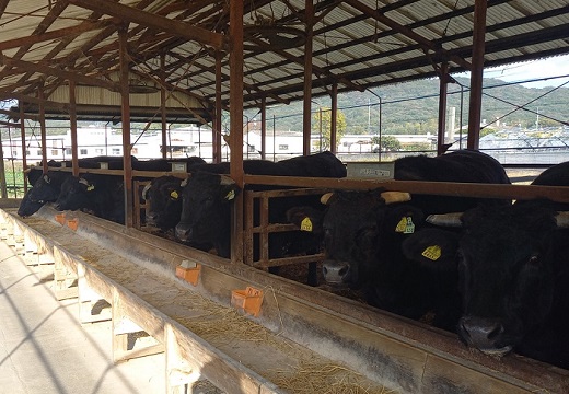 AG114.博多和牛ロースサイコロステーキ用400g【博多和牛】