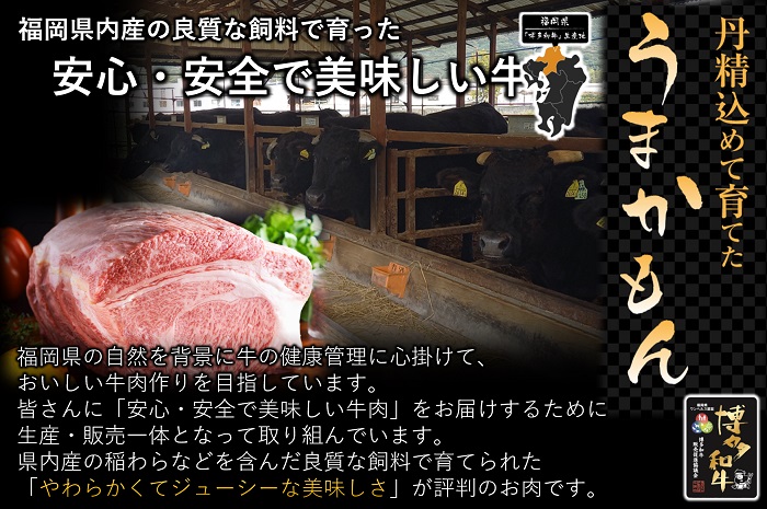 BB032.博多和牛肩ロース焼肉用・スライス800g（各400g）【博多和牛】