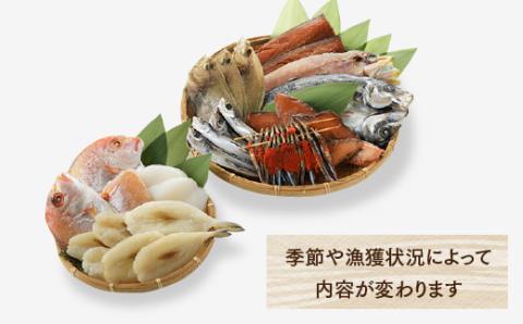 BI019.【大満足】進藤商店一夜干しセット（極）